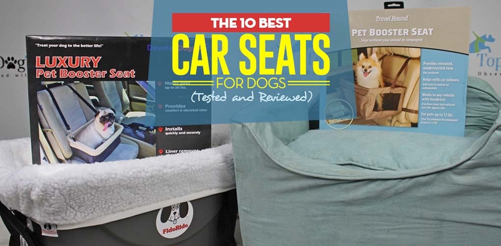 Best car seat outlet reviews 2019