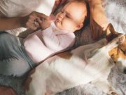 12 Great App Combos and Tools Every Dog Owner with Kids Needs 12 Great App Combos and Tools Every Dog Owner with Kids Needs