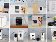 Top 10 Best Dog Cameras Top 10 Best Dog Cameras 2020