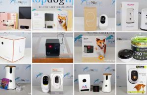 Top 10 Best Dog Cameras Top 10 Best Dog Cameras 2020