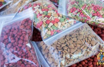 TOP #81: What’s a Rotational Diet and Why It’s Important for Dogs What's a Rotational Diet and Why It's Important for Dogs