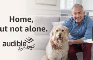 Audible for Dogs Service Review Audible for Dogs Review