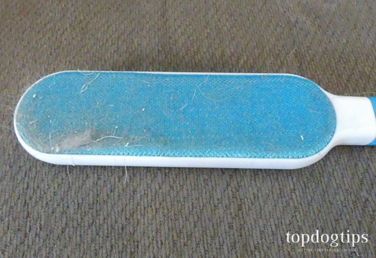 Review DELOMO Reusable Dog Hair Remover Brush Top Dog Tips