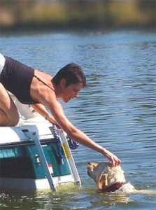 How to Choose a Good Dog Boat Ladder