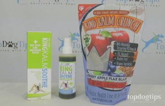 Review: King Kalm CBD Dog Treats and Wellness Products King Kalm Review