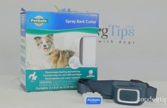 Review: PetSafe Spray Bark Collar for Dogs PetSafe Spray Bark Collar for Dogs