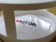 5 Best Flea Trap Types for Serious Infestations Top 5 Best Electric Flea Traps