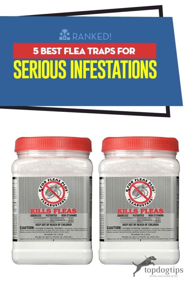 Photo inspiration: Fresh Look at 5 Best Flea Trap Types For Serious Infestations Of Fleas