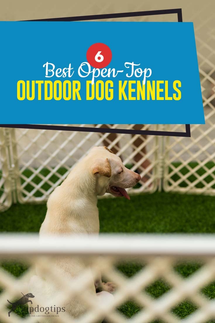 top dog kennels near me