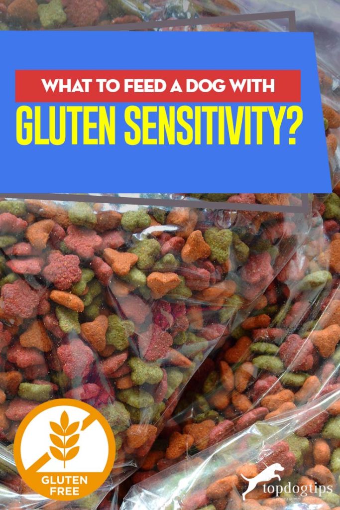 The Best Gluten Free Dog Food Brands for Dogs with Gluten Sensitivity