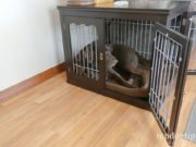 Review: unipaws End Table Dog Crate dog in crate