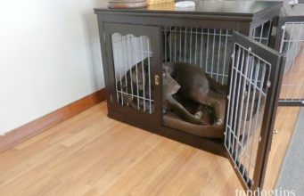 Review: unipaws End Table Dog Crate dog in crate