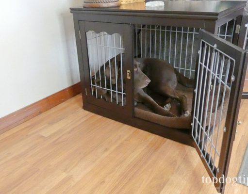 Review: unipaws End Table Dog Crate dog in crate
