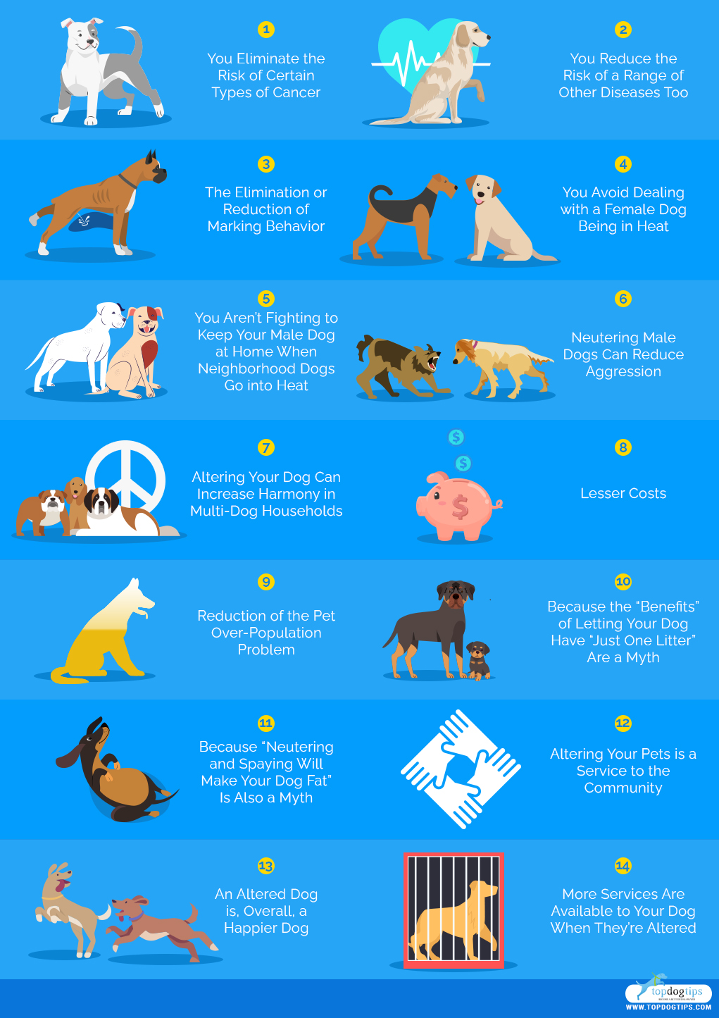 14 Benefits of Spaying and Neutering Your Dogs