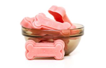 4 Best Homemade Dog Ice Cream Recipes 4 Best Homemade Dog Ice Cream Recipes