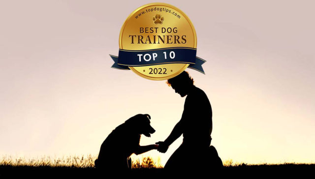 NATIONAL DOG TRAINERS FEDERATION REVIEWS visual data 7