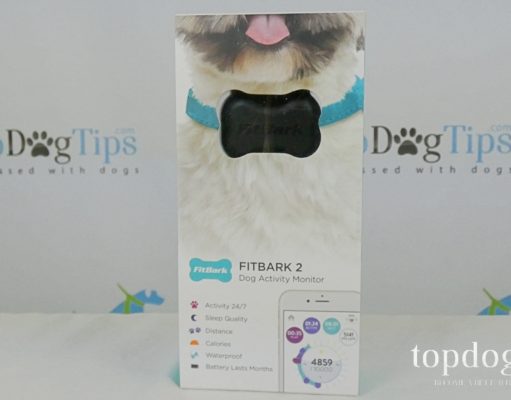 Review: FitBark 2 Dog Activity Monitor FitBark 2 Dog Activity Monitor