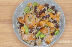 Fresh Dog Food Recipe: A Vegan Option