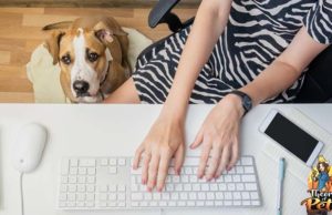 TOP #89: Making Money as a Pet Blogger Making Money as a Pet Blogger
