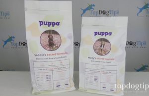 Review: Puppo Personalized Dry Dog Food Puppo Personalized Dry Dog Food