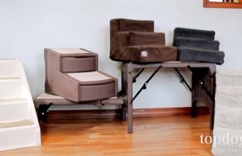 REVIEW: The Best Dog Steps To Help Your Dog Up A Furniture The Best Dog Steps Review