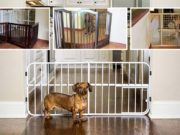 The 10 Best Indoor Pet Gates The Best Indoor Pet Gates
