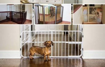 The 10 Best Indoor Pet Gates The Best Indoor Pet Gates