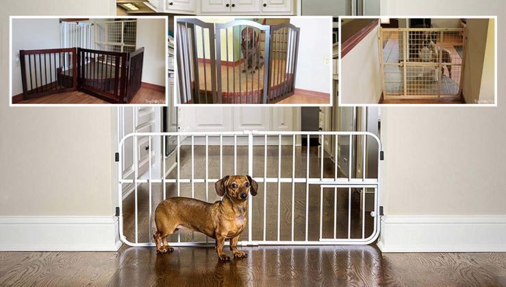 10 Best Indoor Pet Gates Testing, Review and Rankings