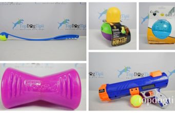 The 10 Best Dog Toys for Boredom and More Best Dog Toys