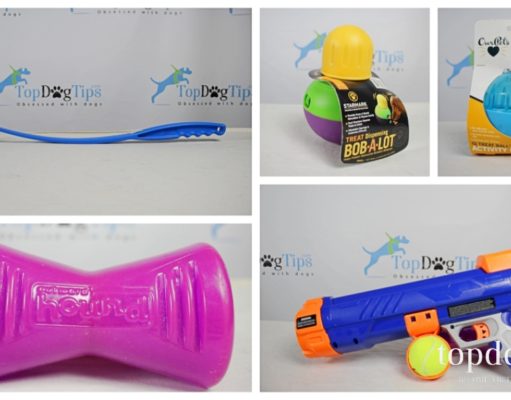 The 10 Best Dog Toys for Boredom and More Best Dog Toys