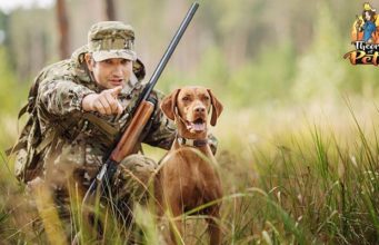 TOP #99: How to Get Started Hunting with a Gun Dog How to Get Started Hunting with a Gun Dog