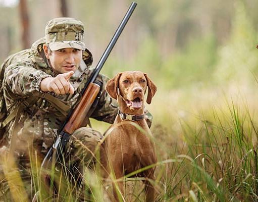 TOP #99: How to Get Started Hunting with a Gun Dog How to Get Started Hunting with a Gun Dog