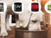 Muscle Builder for Dogs: What It Is and How to Use It Muscle Builder for Dogs - What It Is and How to Use It