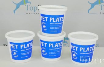 Review: Pet Plate Fresh Dog Food Delivery Pet Plate Dog Food Review