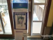 Review: PetSafe Freedom Sliding Glass Pet Door PetSafe Freedom Sliding Glass Pet Door