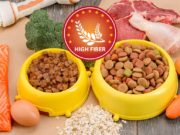 Best High Fiber Dog Foods for Anal Gland Problems: Brands, Supplements, and Recipes The Best High Fiber Dog Foods for Anal Gland Problems