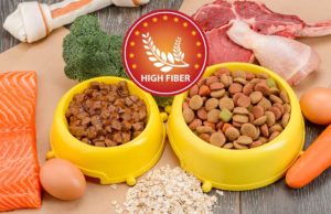 Best High Fiber Dog Foods for Anal Gland Problems: Brands, Supplements, and Recipes The Best High Fiber Dog Foods for Anal Gland Problems