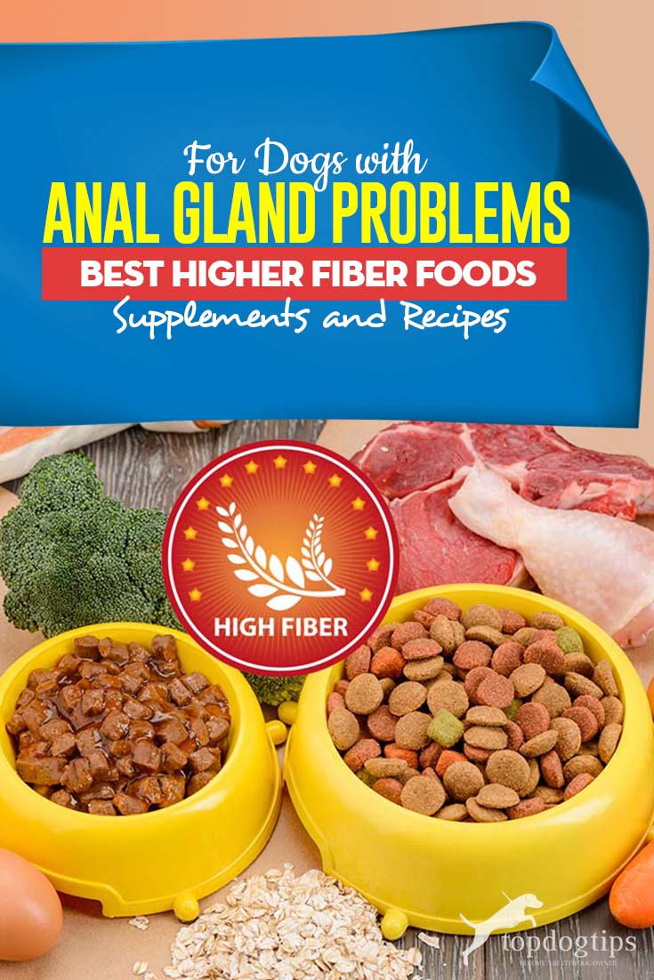 Visual Reference: Best High Fiber Dog Food Anal Gland Problems Supplements Recipes