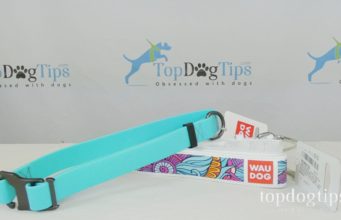 Review: WAUDOG Dog Collars – Leather and Waterproof WAUDOG Dog Collars Giveaway