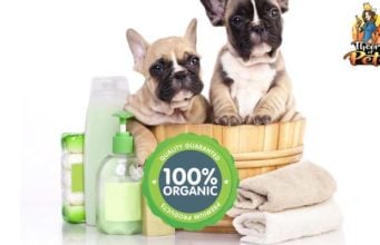 TOP #98: What’re Organic Dog Grooming Products and Do You Need Them? What're Organic Dog Grooming Products and Do You Need Them