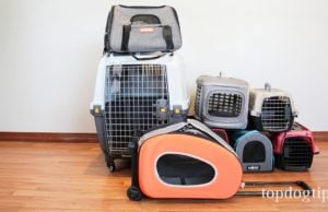 The Best Dog Carriers Review Best Dog Carriers