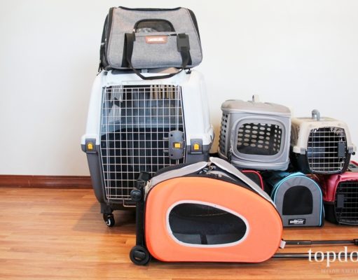 The Best Dog Carriers Review Best Dog Carriers