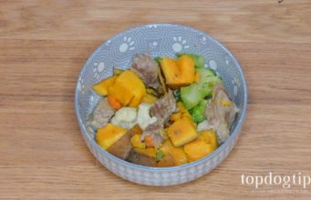 Recipe: Homemade Gentle Dog Food homemade gentle dog food