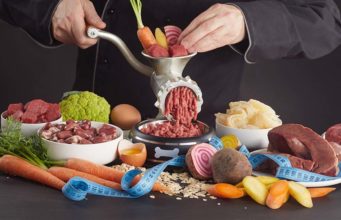 A Science-based Guide to Home Cooked Dog Food Recipes A Science-based Guide to Home Cooked Dog Food Recipes featured image