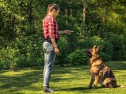 Dog Behaviorist vs Dog Trainer: Which One Is Right for You? Dog Behaviorist vs Dog Trainer - Which One Is Right for You