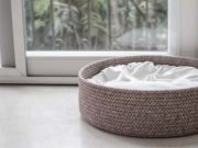 I Miss My Dog: 6 Ways to Help You Deal With It I Miss My Dog - 6 Ways to Help You Deal with It