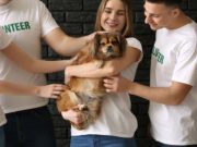 10 Best Gifts for Doggy Day Care Employees 10 Best Gifts for Doggy Day Care Employees