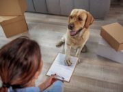 7 Pet Care Financing Organizations to Try 7 Pet Care Financing Organizations to Try