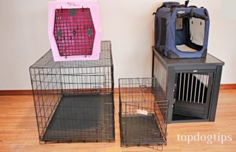 The 10 Best Dog Crates for Training and Other Tasks Best Dog Crates for Training