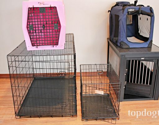 The 10 Best Dog Crates for Training and Other Tasks Best Dog Crates for Training